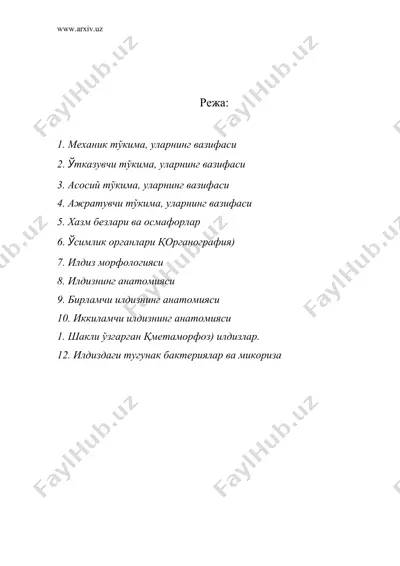 механик, ўтказувчи, ажратувчи ва асосий тўкималар. илдиз морфологияси.илдизни физологик ва анатомик тузилиши — DOC