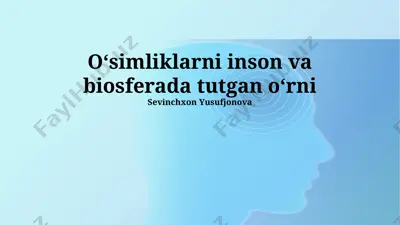oʻsimliklarning inson va biosferadagi oʻrni — PPTX