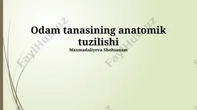 odam tanasining anatomik tuzilishi — PPTX