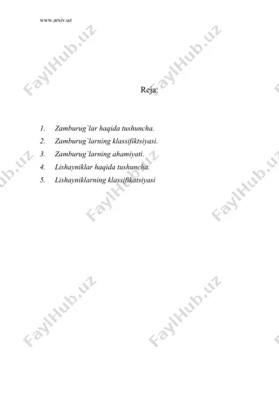 zamburug`lar, lishayniklar va ularning klassifikatsiyasi — DOC
