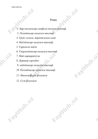 бир паллалилар синфи, лоладошлар, пиёздош-лар, спаржадошлар, киёкдошлар ва халладош-лар оилалари — DOC