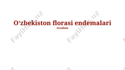 o‘zbekiston florasi endemalari — PPTX