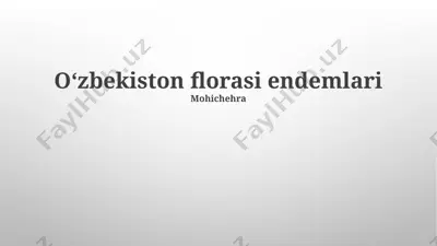 oʻzbekiston florasi endemlari — PPTX