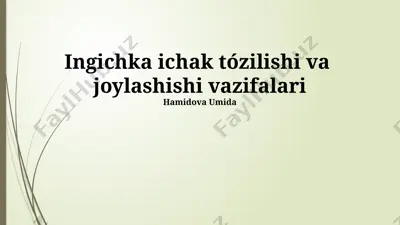 ingichka ichak tuzilishi va vazifalari bo‘yicha taqdimot — PPTX