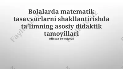 bolalarda matematik tasavvurlarni shakllantirishda taʼlimning asosiy didaktik tamoyillari — PPTX