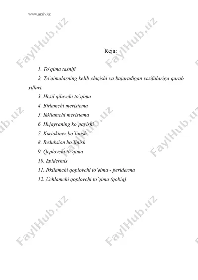 o`simlik to`qimalari. hosil qiluvchi va qoplovchi to`qimalar — DOC