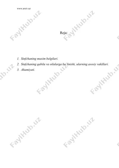 chinnigulkabilar sinfchasi – caryophyllidae — DOC