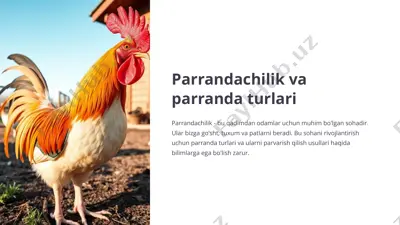 parrandachilik va parranda turlari — PPTX