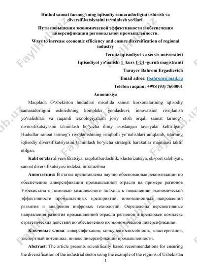 hudud sanoat tarmog‘ining iqtisodiy samaradorligini oshirish va diversifikatsiyasini ta‘minlash yo‘llari — DOCX