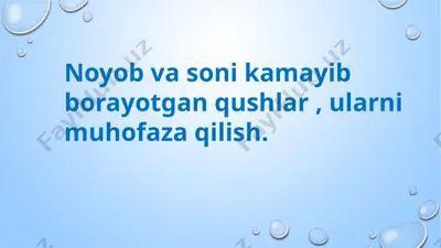 noyob va soni kamayib borayotgan qushlar, ularni muhofaza qilish — PPTX