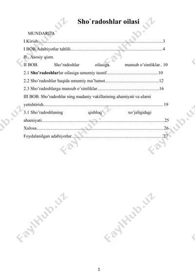 sho’radoshlar oilasi kurs ishi — DOCX