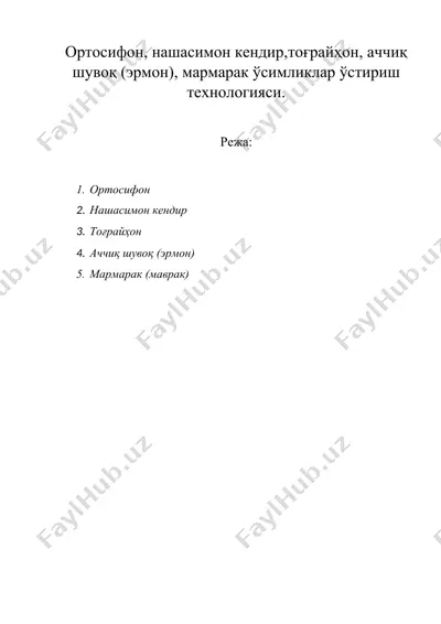 ортосифон, нашасимон кендир,тоғрайҳон, аччиқ шувоқ (эрмон), мармарак — DOC