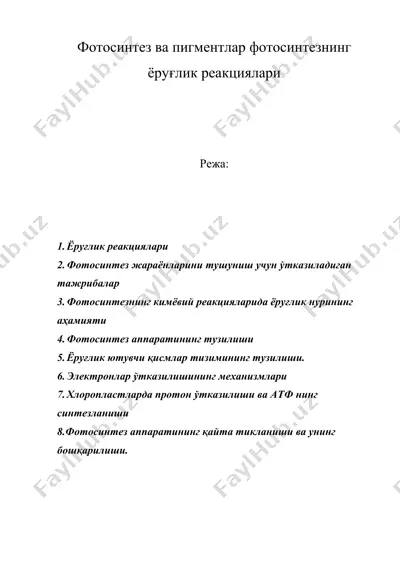 фотосинтез ва пигментлар фотосинтезнинг ёруғлик реакциялари — DOCX
