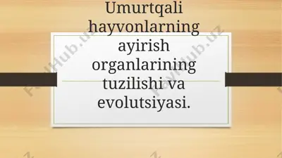 umurtqali hayvonlarning ayirish organlarining tuzilishi va evolutsiyasi — PPTX