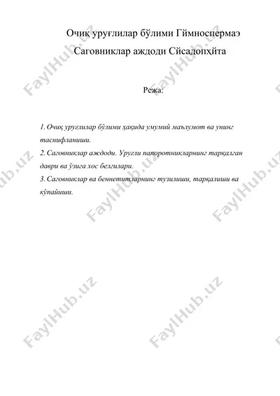 очиқ уруғлилар бўлими гймноспермаэ саговниклар аждоди cйcадопҳйта — DOC