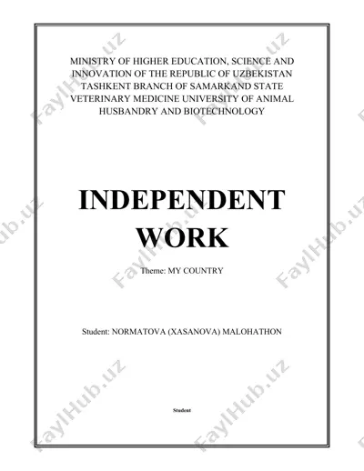 independent work: my country — DOCX