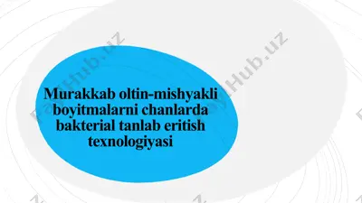 murakkab oltin-mishyakli boyitmalarni chanlarda bakterial tanlab eritish texnologiyasi — PPTX