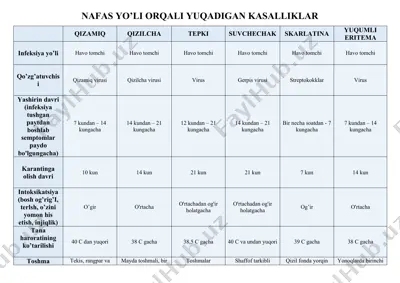 nafas yo‘li orqali yuqadigan kasalliklar — DOCX