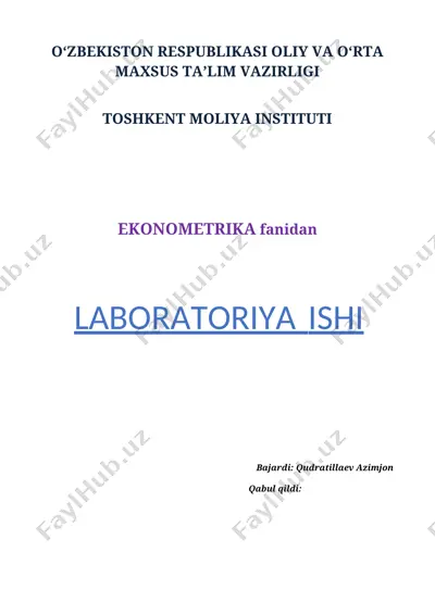 juft regressiya va ekonometriya bo‘yicha laboratoriya ishi — DOCX