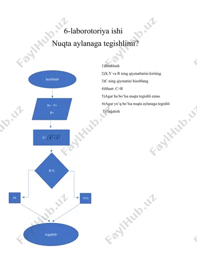 6-laborotoriya ishi: nuqta aylanaga tegishlimi? — DOCX