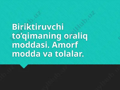 biriktiruvchi to’qimaning oraliq moddasi. amorf modda va tolalar — PPTX
