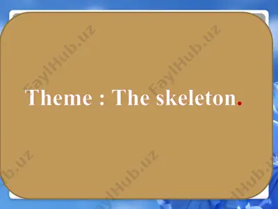 the skeleton — PPTX