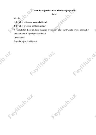 byudjet sisteması hám byudjet procesi — DOCX