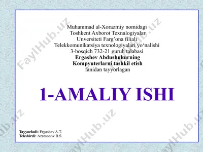 kompyuterlarni tashkil etish fani bo‘yicha 1-amaliy ish: hdd va qattiq disklar tuzilishi hamda zamonaviy disklar sig‘imlari — PPTX