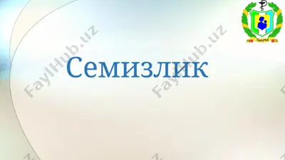 seminar: semizlik — PPTX