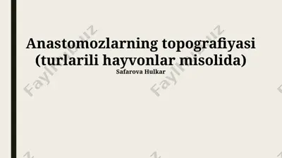 anastomozlarning topografiyasi (turli hayvonlar misolida) — PPTX