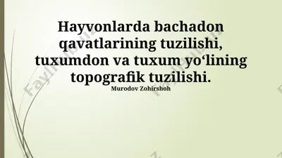hayvonlarda bachadon qavatlarining tuzilishi, tuxumdon va tuxum yoʻlining topografik tuzilishi — PPTX