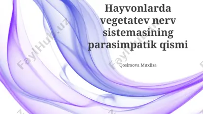 hayvonlarda vegetativ nerv sistemasining parasimpatik qismi — PPTX