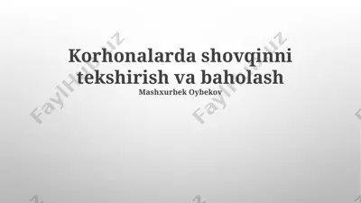 korhonalarda shovqinni tekshirish va baholash — PPTX