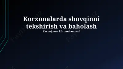 korxonalarda shovqinni tekshirish va baholash — PPTX