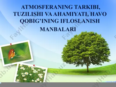 atmosferaning tarkibi, tuzilishi va ahamiyati, havo qobig’ining ifloslanish manbalari — PPTX