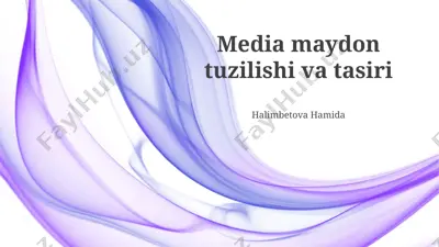 media maydon tuzilishi va tasiri — PPTX
