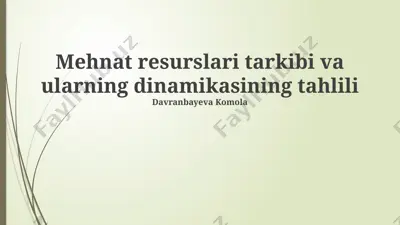mehnat resurslari tarkibi va ularning dinamikasining tahlili — PPTX