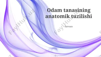 odam tanasining anatomik tuzilishi — PPTX