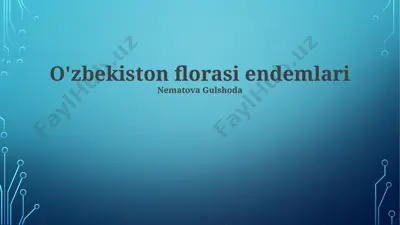 o‘zbekiston florasi endemlari — PPTX