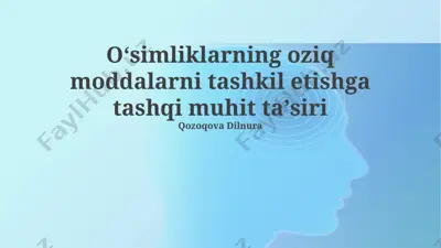 oʻsimliklarning oziq moddalarni tashkil etishga tashqi muhit taʼsiri — PPTX
