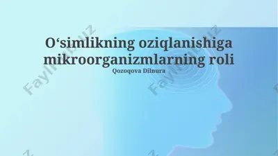 oʻsimlikning oziqlanishiga mikroorganizmlarning roli — PPTX