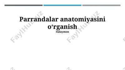 parrandalar anatomiyasini o‘rganish — PPTX