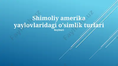 shimoliy amerika yaylovlaridagi oʻsimlik turlari — PPTX