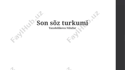 son so‘z turkumi — PPTX