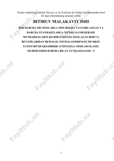 termiz shahrining alisher navoiy va at-termiziy ko’chalari kesishmasidan hosil bo’lgan chorrahaning umumiy tahlili — DOCX