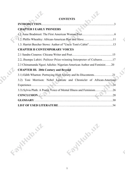 the role of women writers in american literature (course paper) — DOCX