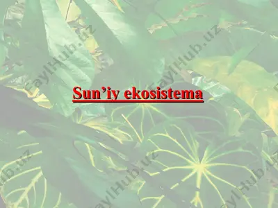 sun’iy ekosistema — PPT