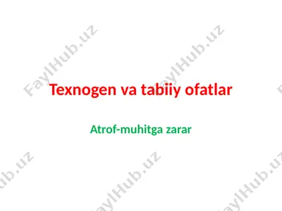 texnogen va tabiiy ofatlar 2 — PPTX
