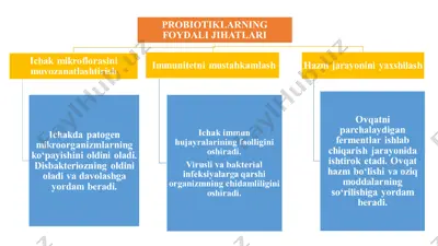 probiotiklarning foydali jihatlari. klaster, 1 ta. — PPT