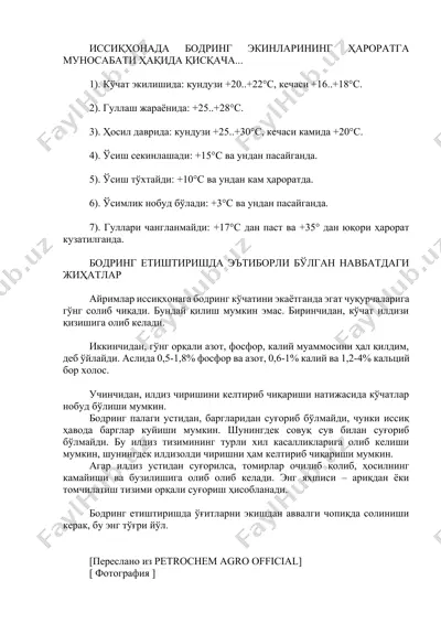 issiqxonada bodring ekinlarining haroratga munosabati va parvarishi — DOCX